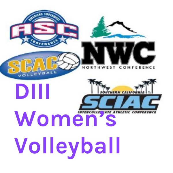 DIII Women's Volleyball Artwork