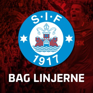 BAG LINJERNE