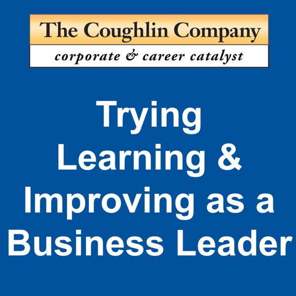 Trying, Learning, & Improving as a Business Leader