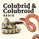 Colubrid & Colubroid Radio