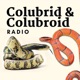 Lampropeltis with Chad Gordon