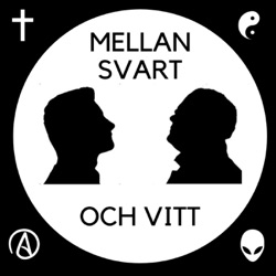 62. Interreligiöst ungdomsprojekt i Malmö