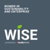 WISE - Women in Sustainability and Enterprise artwork