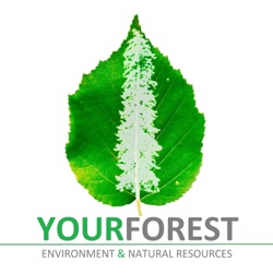142- Achieving Tree Equity with American Forests