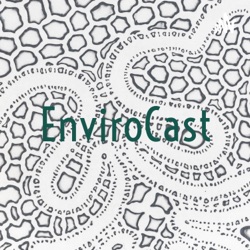 Envirocast St B edition by Christopher Cordero