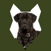 Fenrir Cane Corso Podcast