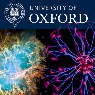 Theoretical Physics - From Outer Space to Plasma:Oxford University