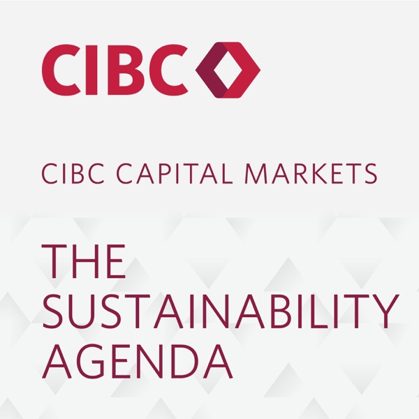 The Sustainability Agenda
