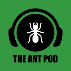 The Camponico Ants Interview - Featuring Camponico | The Ant Podcast #36