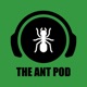Dream Ant nest, setup, room and house! - Featuring The Crafting Ant | The Ant Podcast #45
