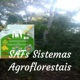 SAFs Sistemas Agroflorestais
