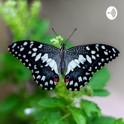 The Diverse Butterfly Podcast