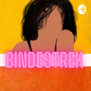 Bindestrek