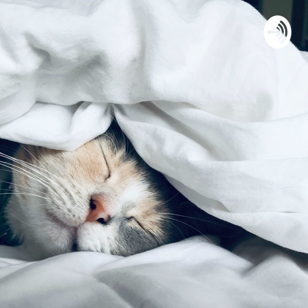 ふじもったの睡眠導入チャンネル