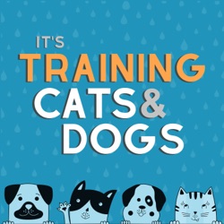 “Dog-Like” Cats and “Cat-Like” Dogs - with Matt Schimsky