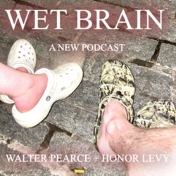 Important Announcement Regarding The Future Of The Wet Brain Podcast w/ Adam Friedland