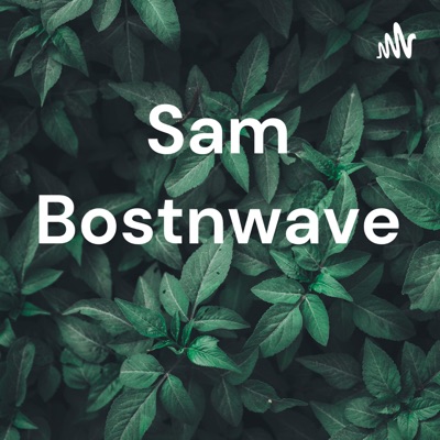 Sam Bostnwave