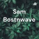 Sam Bostnwave 