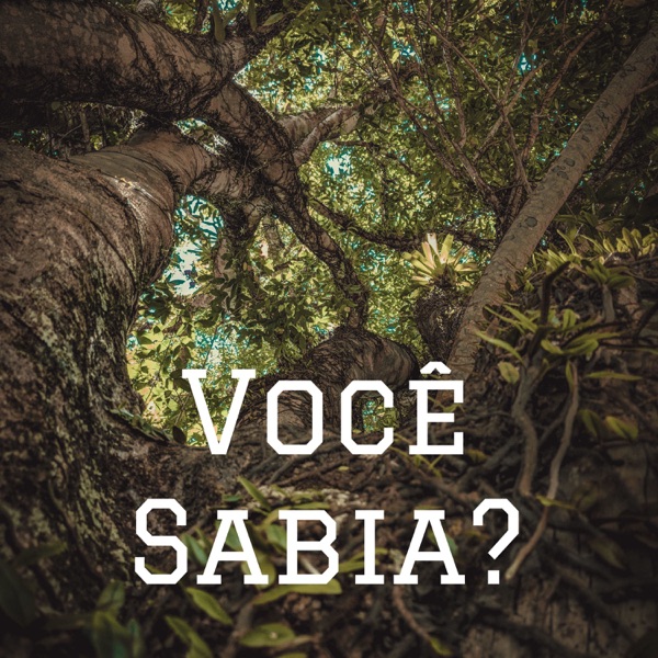 Você Sabia?