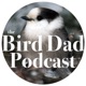 The Bird Dad Podcast