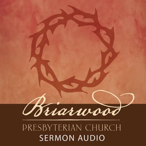Briarwood Presbyterian Church - Dr. Harry L. Reeder III - Sermon Audio image