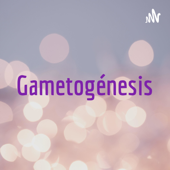 Gametogénesis