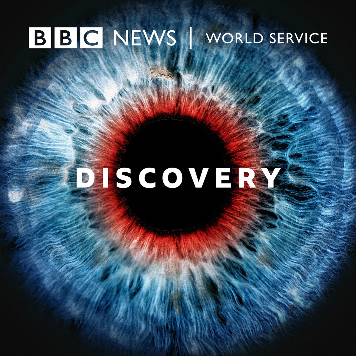 Discovery – Podcast