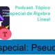 Podcast. Tópico especial de Álgebra Lineal: Matriz PseudoInversa