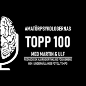 Amatörpsykologernas Topp 100 - Ulf Appelgren & Martin Zetterberg