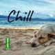 Chill Music - 20 Minutes