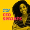 CEO Sprints artwork