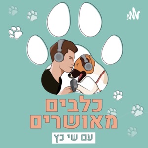 כלבים 🐕 מאושרים 😁