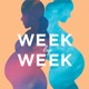 86. Second Trimester WEEK 24 Mother Stereotypes and Family Communication with Dr. Rachel Davidson