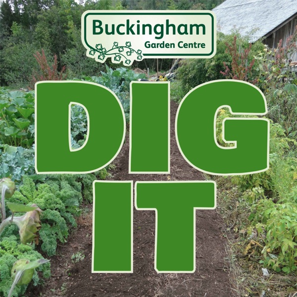 Dig It - Discussions on Gardening Topics