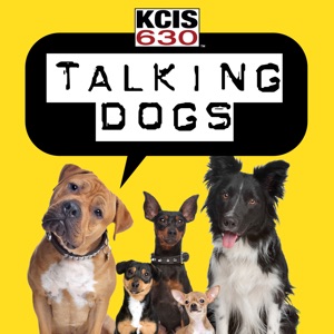 Talking Dogs on KCIS