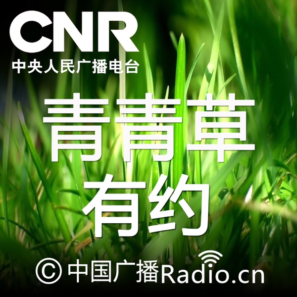 青青草有约