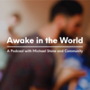 Awake in the World Podcast - Michael Stone