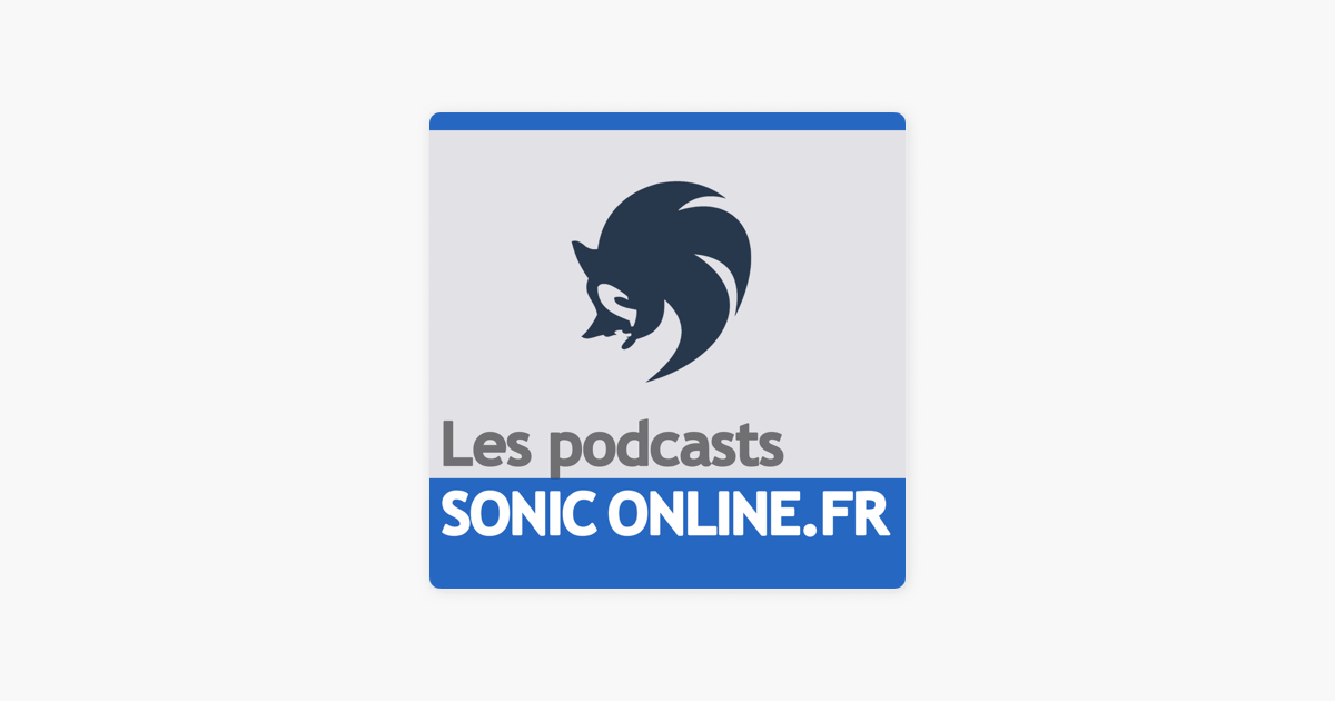 Sonic, dans une voiture vous êtes sérieux ?