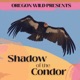 Oregon Wildcast: Shadow of the Condor