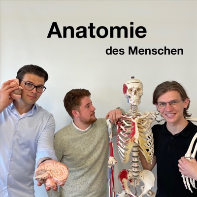 Anatomie des Menschen