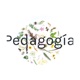 Pedagogía