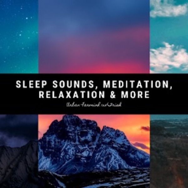 Urban Farming w/Trish: Lovers of Sleep Sounds & Meditation