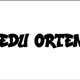 #46 STORYTIME: Vad händer med Edu Orten? Följ din dröm + Studiegården visionen