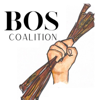 BOS Coalition - Ava McCollum