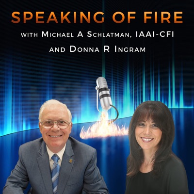 Perspective on Fire Dynamics and the Twin Tower Tragedy Perspective on Fire Dynamics and the Twin Tower Tragedy