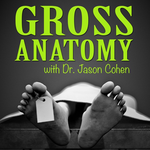 Gross Anatomy