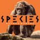 Forgotten Apes | Dr. Susan Cheyne