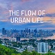 The Flow of Urban Life