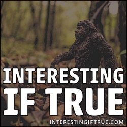 Interesting If True - Episode 78: The Elephant In the Room