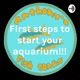 First steps to start your aquarium!!!